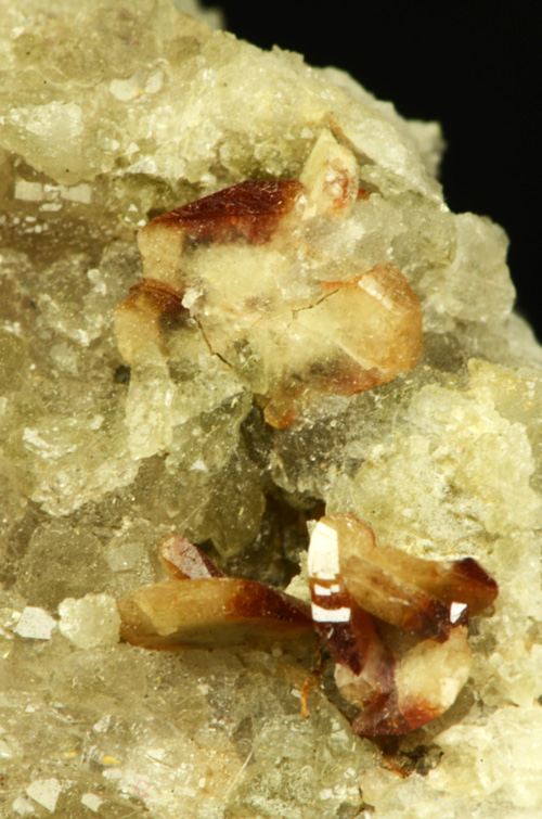 Titanite - Miage Glacier, Mt. Blanc, Aosta valley, Italy